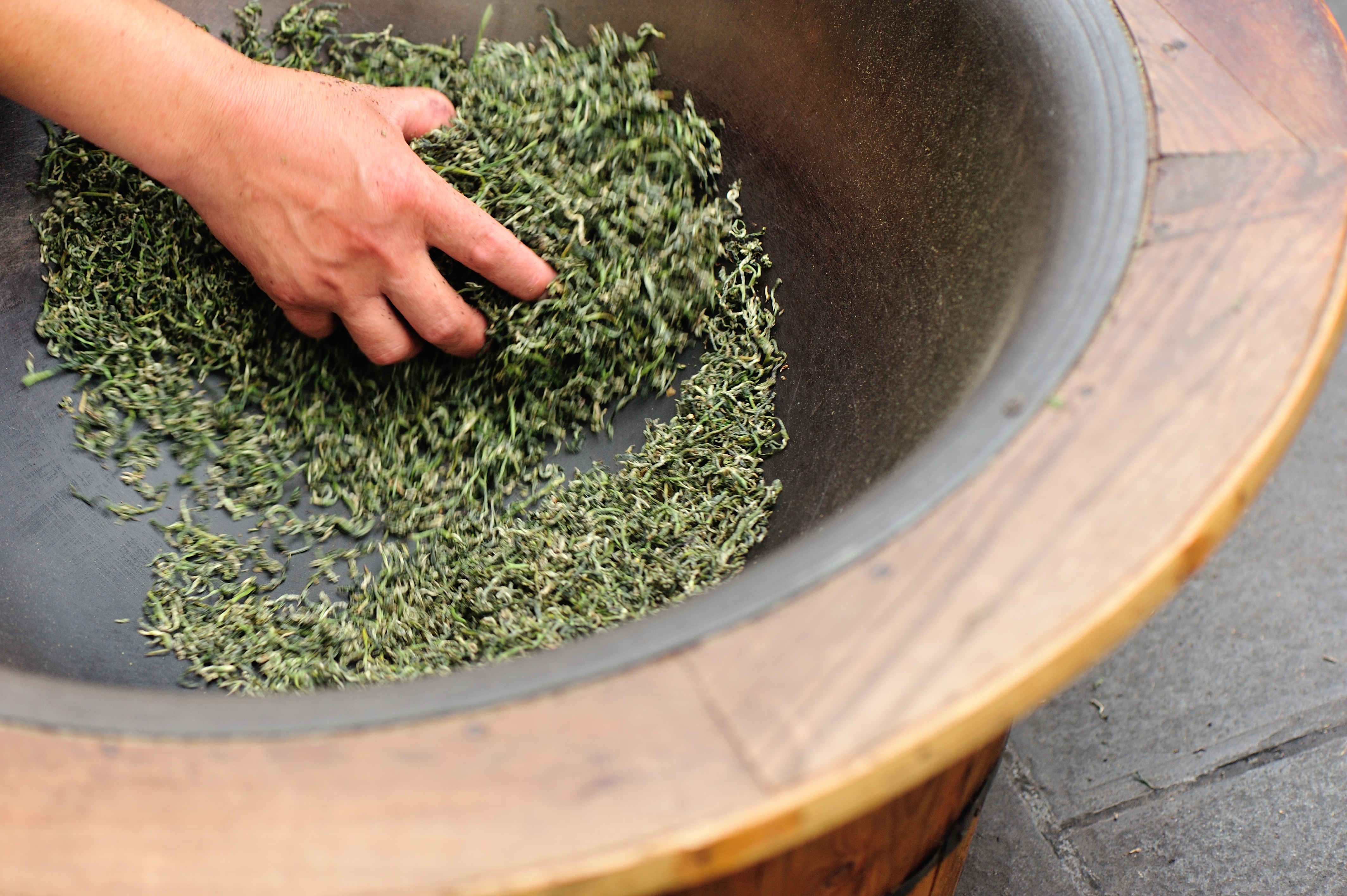 Промывка чая. Чай Fry Tea. Tea Production process. Fry Tea.